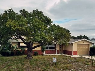 11224 Rhonda Ave, Port Richey, FL 34668