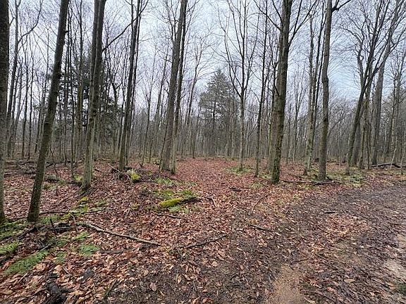 4th image of 0 Cherry Springs Rd