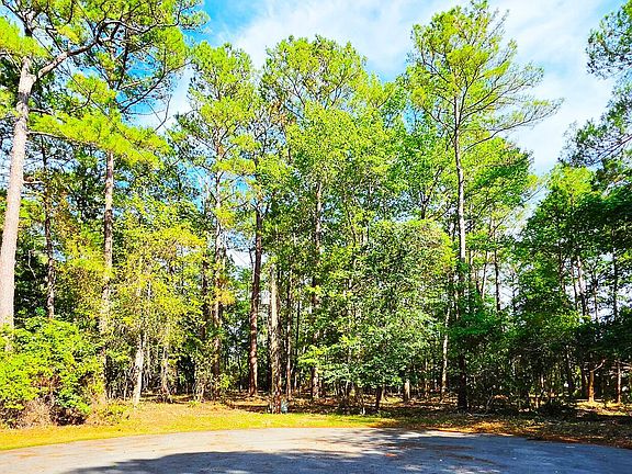 5th image of 1 Palmer Dr #L