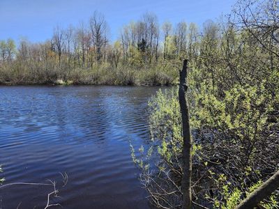 On Hwy #70, Winter, WI, 54896