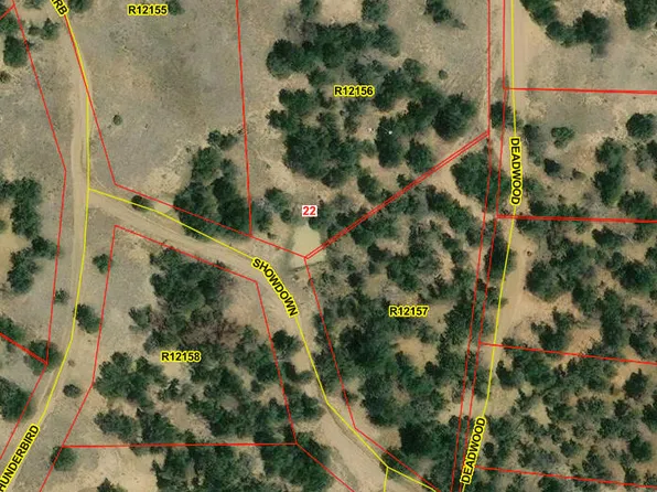11 Deadwood Ln, Pinehill, NM 87357