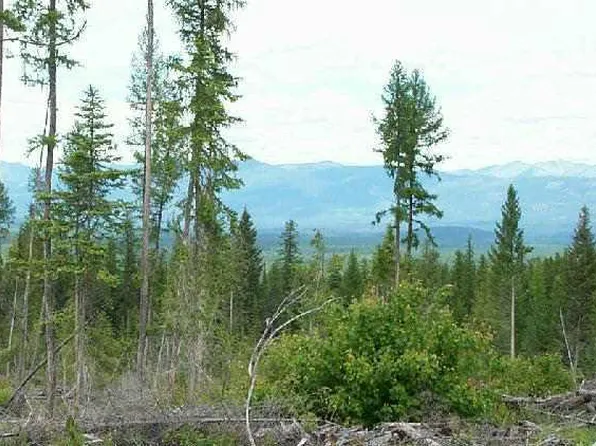 2001 Star Meadows Rd, Whitefish, MT 59937