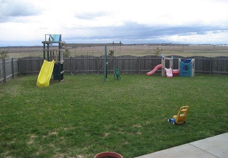 Back yard