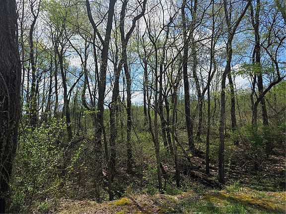 5th image of 242 Walker Rd