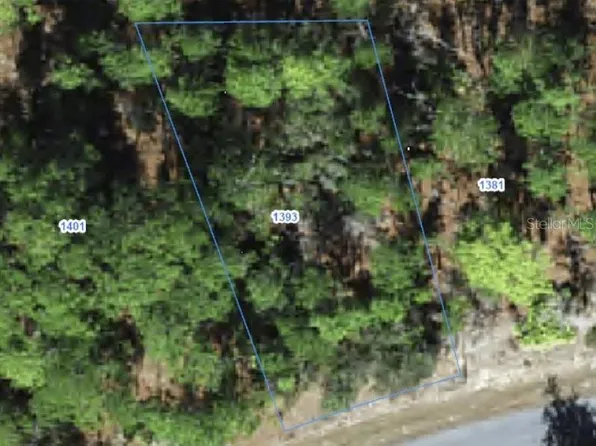 1393 W RILEY DRIVE LOT 31, CITRUS SPRINGS, FL 34434