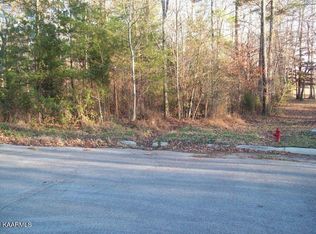 11 Europa Dr, Spring City, TN 37381