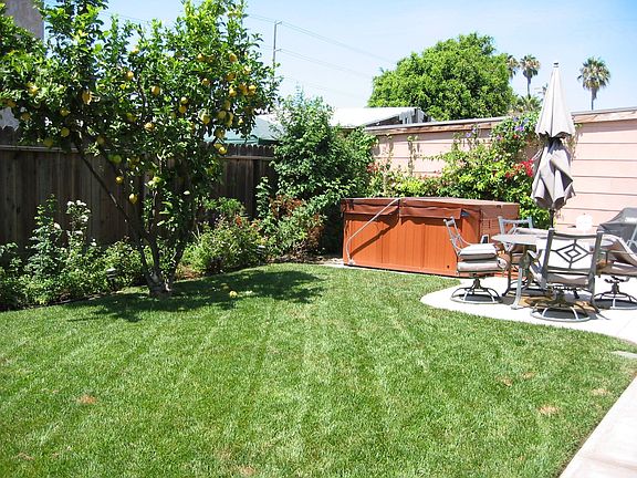 Fenced Back Yard w/ Spa