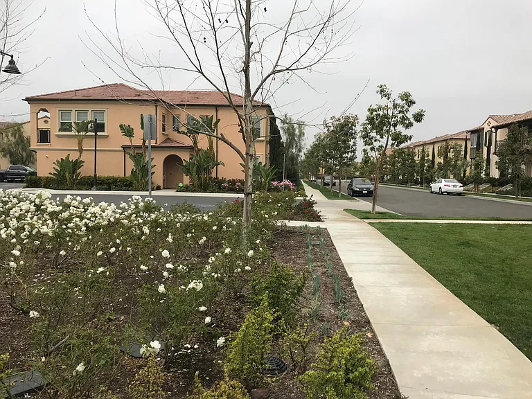 66 Jade Flower — Photo 38