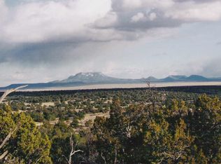 Omega County Rd #140, Quemado, NM 87829