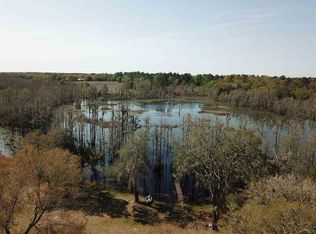 9874 NE Rocky Ford Rd, Pinetta, FL 32350