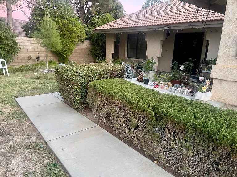 4730 Avenida Vista Verde — Photo 3