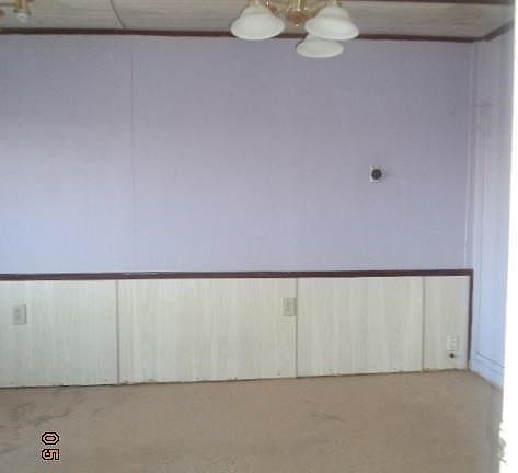 mold behind panneling