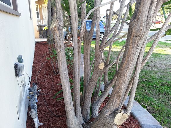 3rd image of 12117 Parmelee Ave