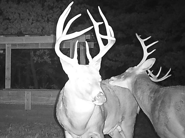 0 Turkey Rd, Howard, KS 67349