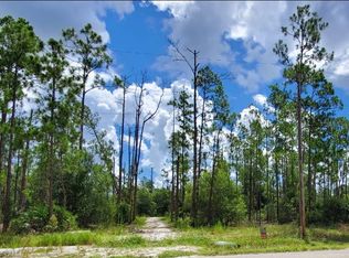 1102 Moore Ave, Lehigh Acres, FL 33972