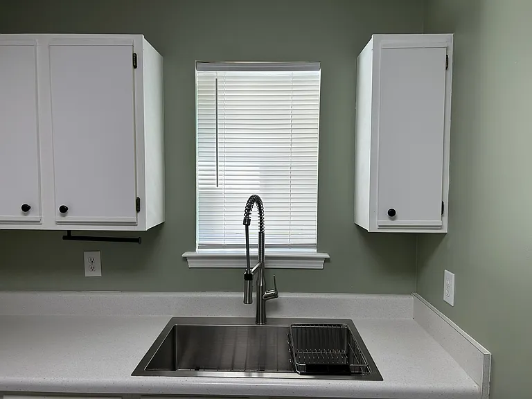 SS kitchen sink with goose neck faucet