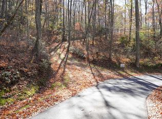 none Silly Ridge Road, Scaly Mountain, NC 28775