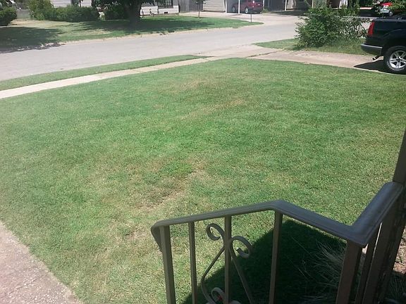 Established front yard