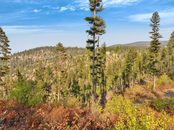6300 Camas Creek Rd, Potomac, MT 59823