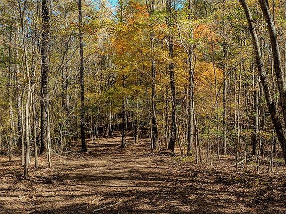 2nd image of 0 Jones Ferry Rd #3