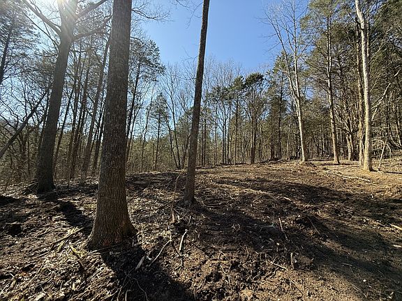2nd image of 0 McClanahan Rd