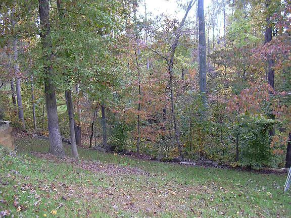 Back Yard - fall