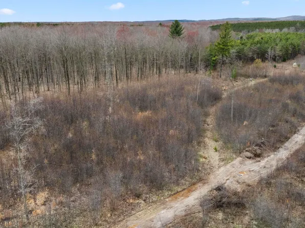 PARCEL E 32nd Rd #C, Cadillac, MI 49601