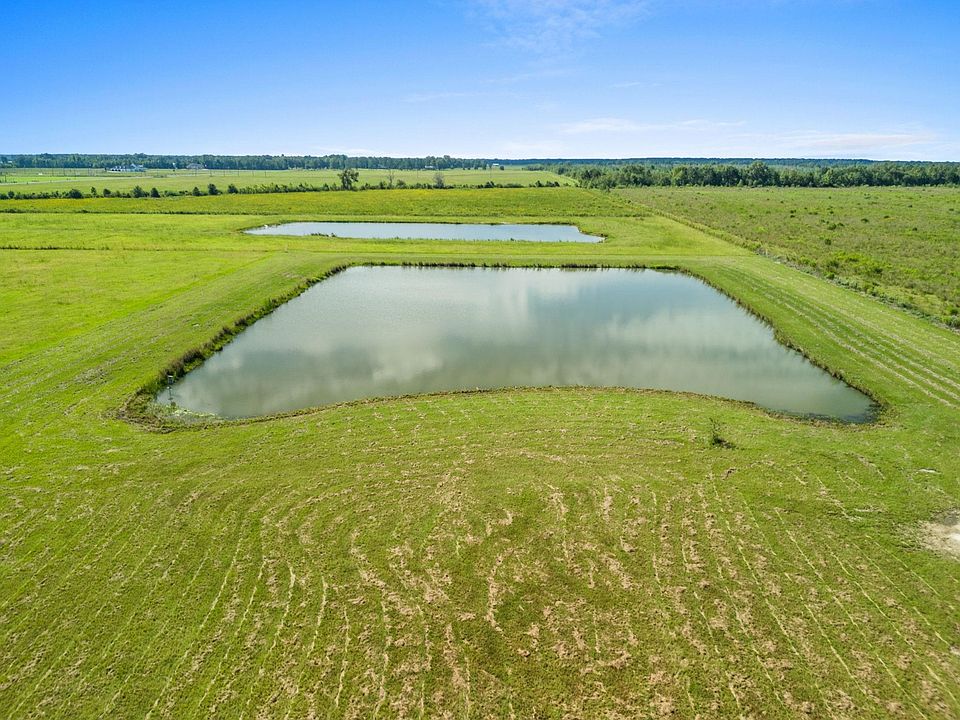 2nd image of 813 Birdnest Rd