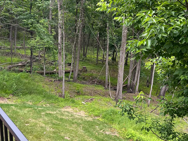 207 Fairview Rd — Photo 32