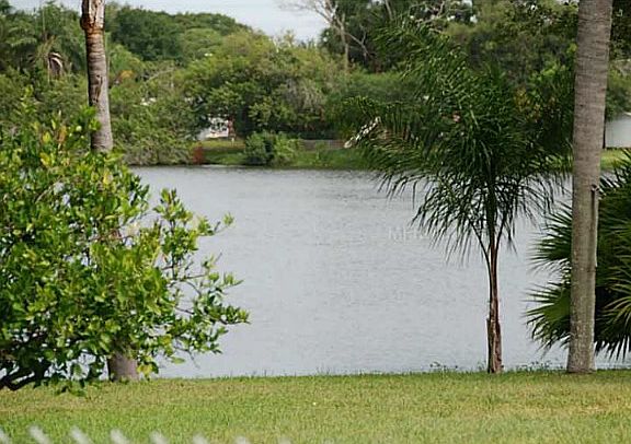 Backyard view 