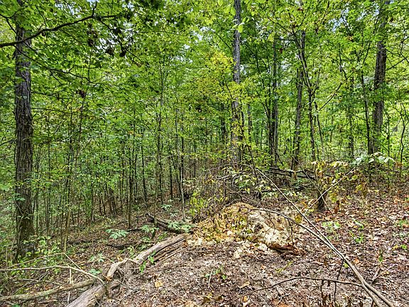 2nd image of 0 Timber Ridge Ln Lot 20