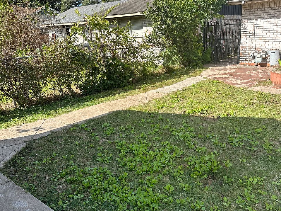 Paved entry to the house There is a nice small yard. You are responsible for the upkeep of the yard.