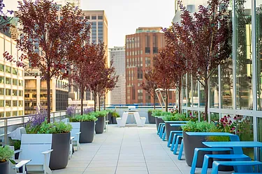 Rented by Metro Loft Management