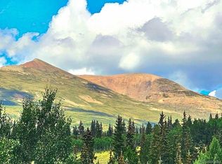 295 Silver Plume Rd, Alma, CO 80420