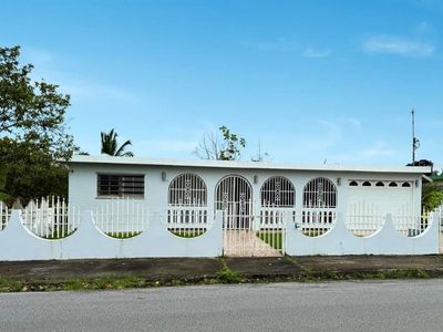 Carr 183 Bo Montones, Las Piedras, PR, 00771
