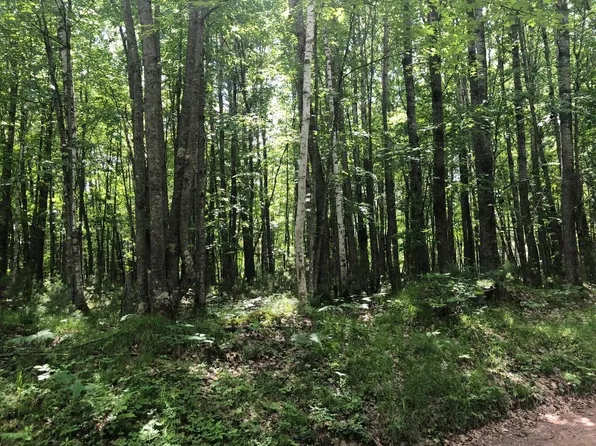 LOT Star Lake Rd, Conover, WI 54519