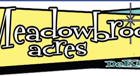 Meadowbrook Acres N'hood