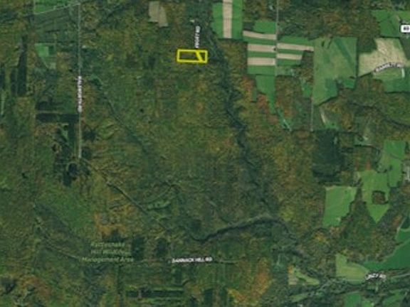 3rd image of 10051-55 Frost Rd