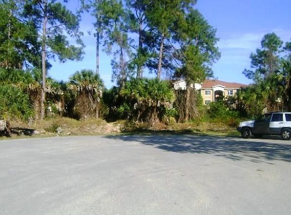 3rd image of 650 Palm Lake Dr