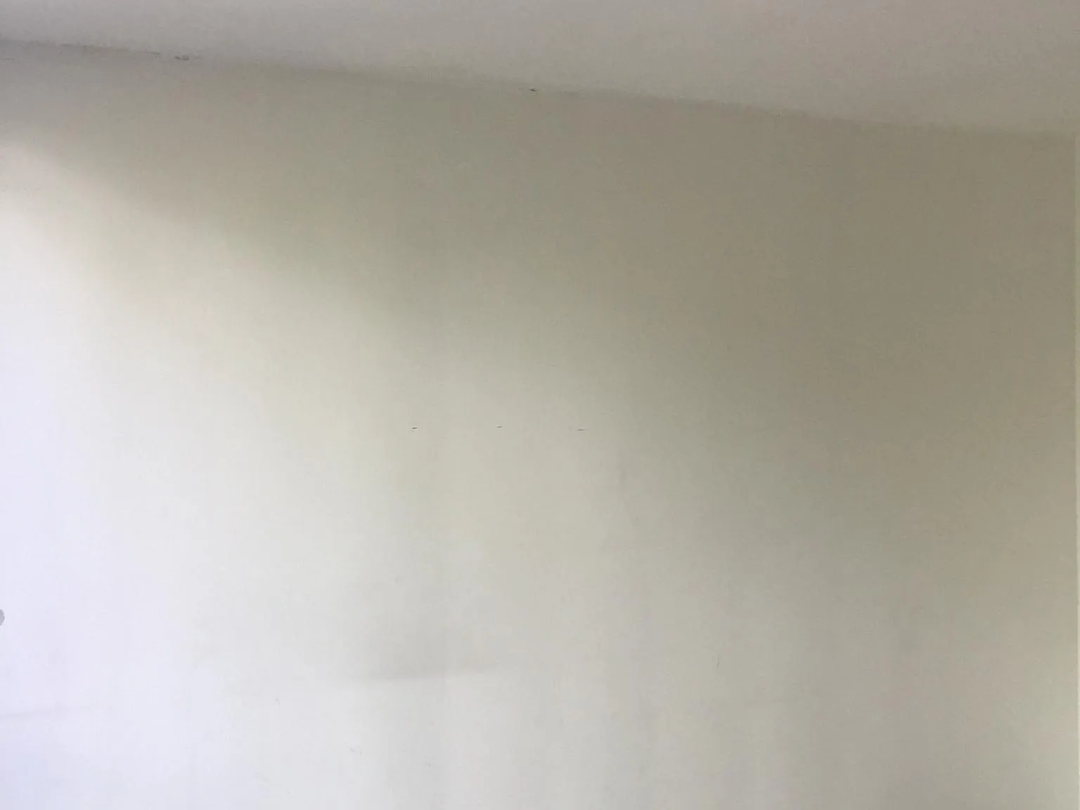 1 bed, 500 sqft, $1,300 — Photo 3