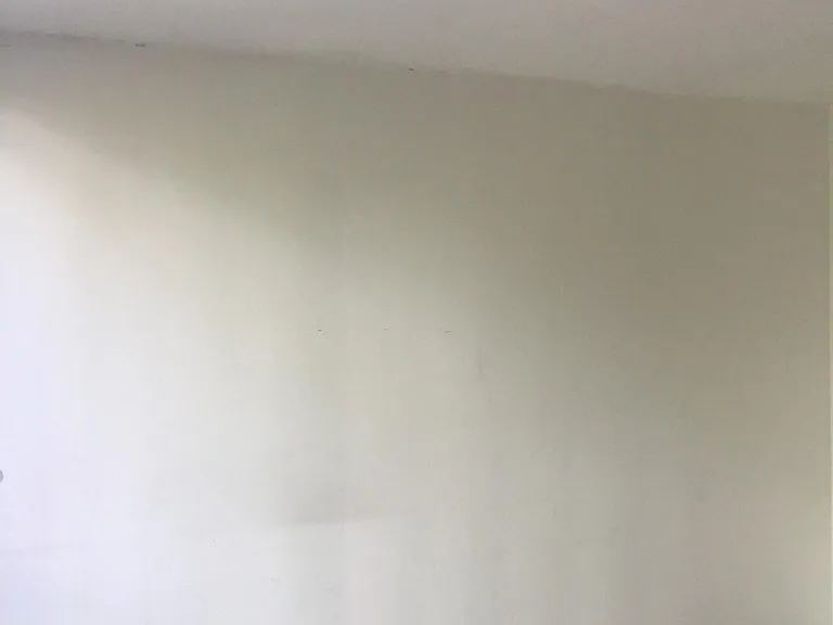 250 Iolani Ave — Photo 3