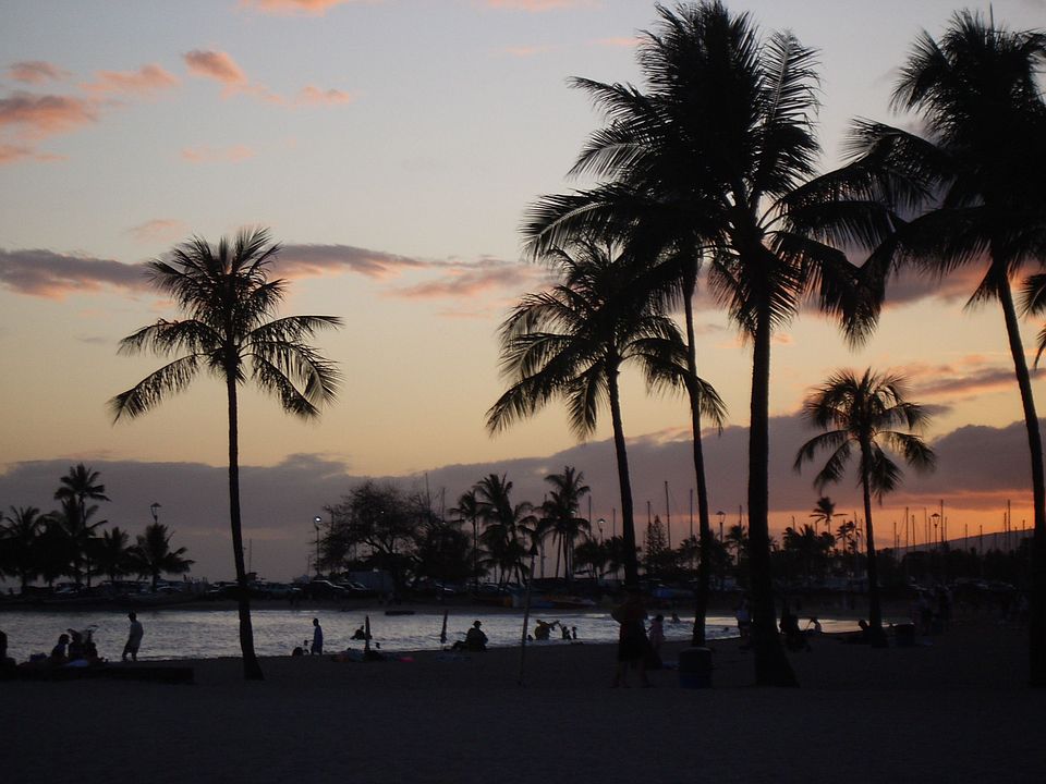 Life is a Beach...