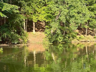 174 Arborwood Ln, Savannah, TN, 38372