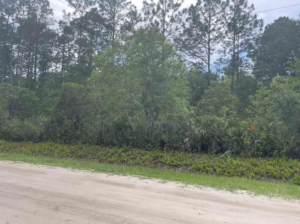 10545 Zigler Ave, Hastings, FL 32145