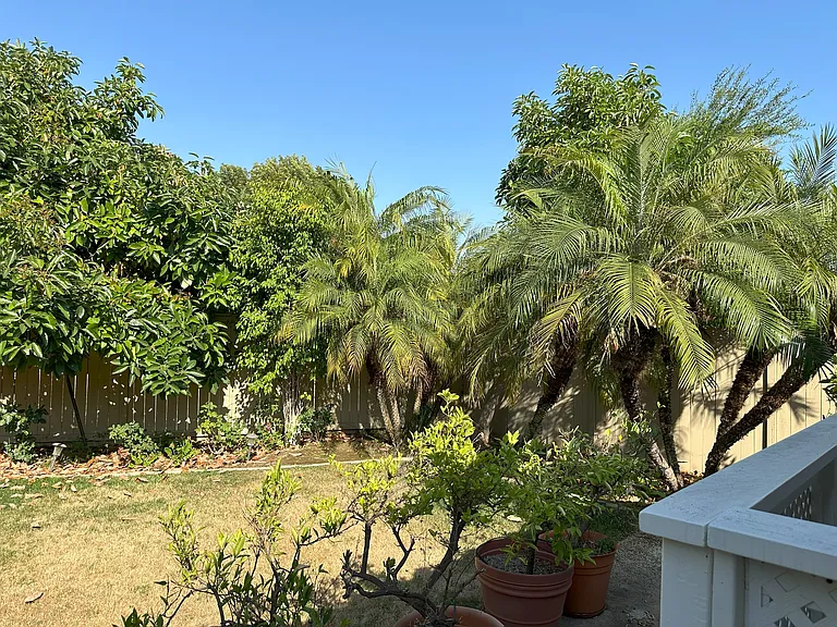 3014 Persimmon Pl — Photo 30