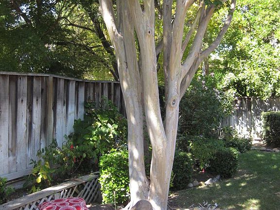 5th image of 0 Wood Duck Ave #0