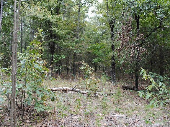 4th image of 00 Mullins Dr