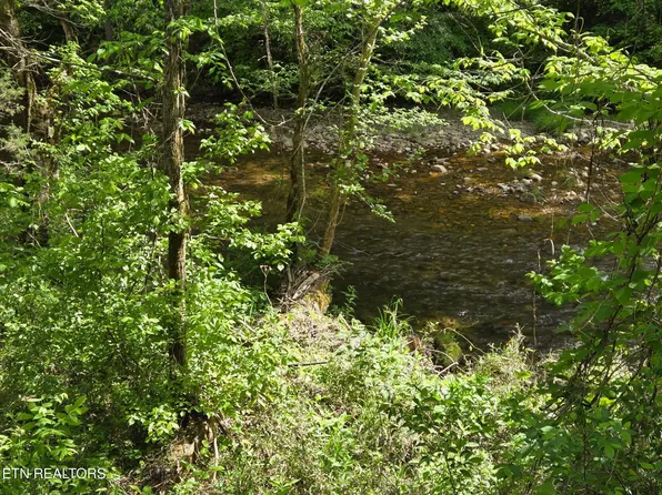Old 15th Rd, Del Rio, TN 37727