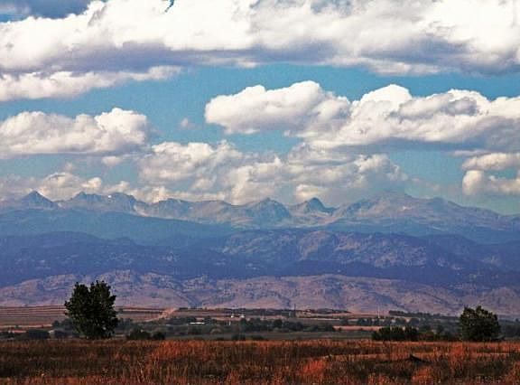 8401 RASPBERRY DRIVE