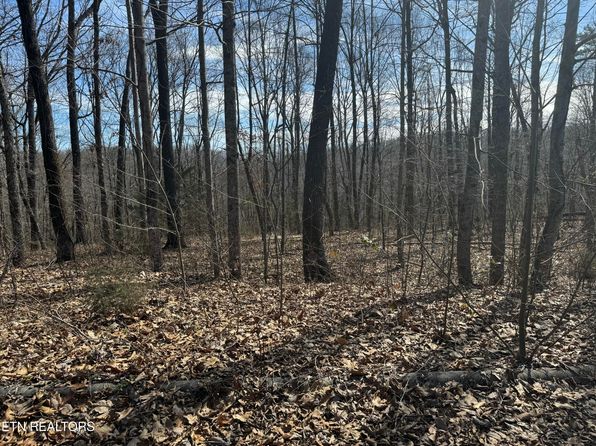 975 County Road 316 LOT 178, Niota, TN 37826